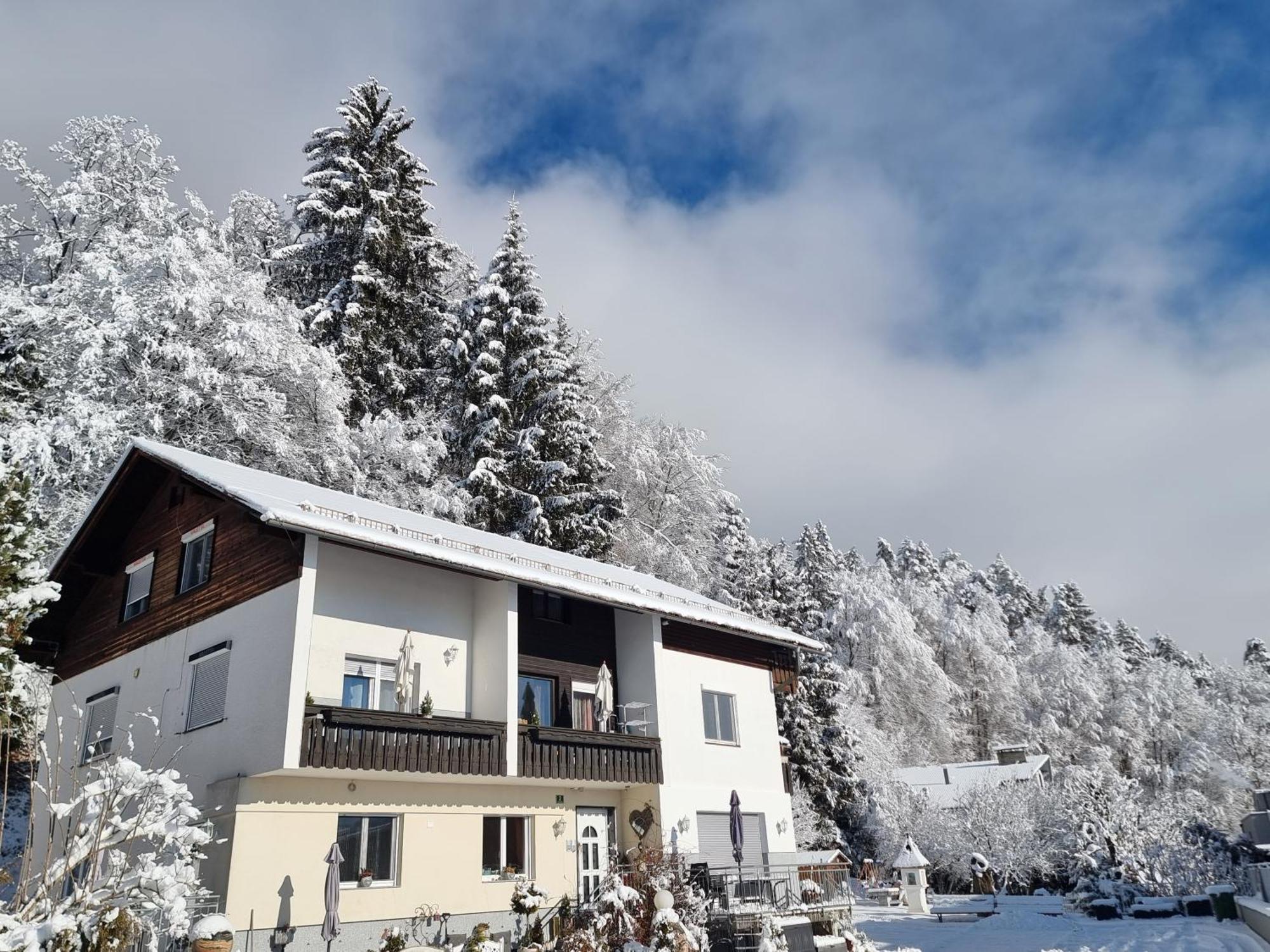 Ferienhaus Burgblick Treffen Extérieur photo
